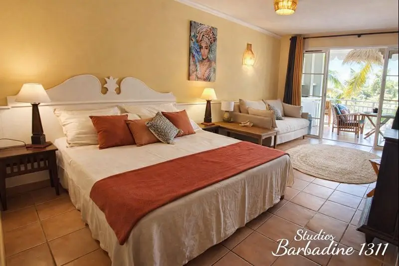 1311 Studio tropical lumineux a barbadine